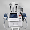 Derece 360 ​​Tam Vücut Kriyoterapi Makinesi Cilt Sıkılaştırma Cryolipolysis Vücut Zayıflama