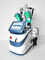 360 Derece Cryolipolysis Zayıflama Makinesi İnvaziv Olmayan Taşınabilir Cryolipolysis Makinesi